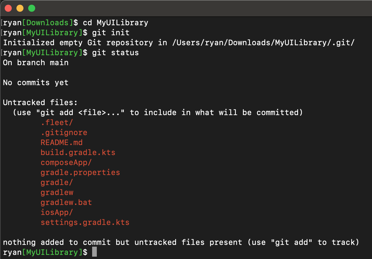 Example of initializing the git repository